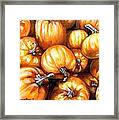 Pumpkin Palooza Framed Print