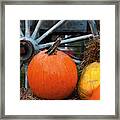 Pumpkins And Wagon Wheel  Stowe Framed Print