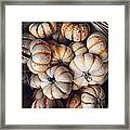 Pumpkins Gourds Framed Print