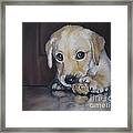 Puppy Aaron Framed Print