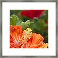 Pure Love Framed Print