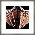 Pure Speed Framed Print