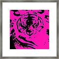Magical Purple Bengal Tiger Framed Print