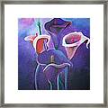 Purple Calla Lilies Framed Print