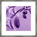 Purple Charm Framed Print