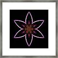 Purple Echinacea Flower Mandala Framed Print