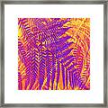 Purple Fern Framed Print