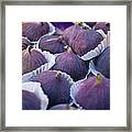 Purple Figs Framed Print