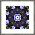 Purple Iris Kaleidoscope Framed Print