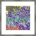 Purple Irises Framed Print