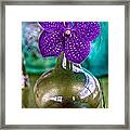 Purple Orchid In Vase Framed Print