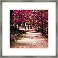 Purple Pass Framed Print