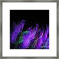 Purple Passion. Dancing Lights Series Framed Print