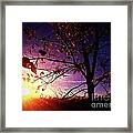 Purple Skies And Walnut Trees Framed Print