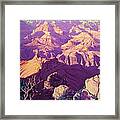 Purple Splendor Framed Print