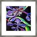 Purple Wildflowers Framed Print