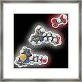 Quetiapine Fumarate Drug Molecule Framed Print