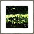 Quiet Reflection Framed Print