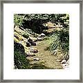 Quiet Stream Framed Print