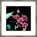 Quietly Blooming Framed Print