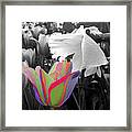 Quilted-look Tulip And A Daffodil Framed Print
