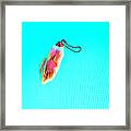 Rabbit's Foot Keychain Framed Print