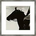 Race Horse Gallant Fox Framed Print