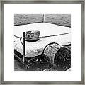 Raftinwinter Framed Print