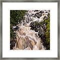 Rain Stream Framed Print