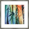 Rainbow Bamboo 2 Framed Print