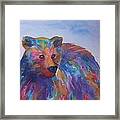 Rainbow Bear Framed Print