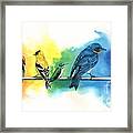 Rainbow Birds Framed Print