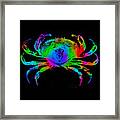 Rainbow Crab Framed Print