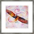 Rainbow Flying Eagle Watercolor Painting Framed Print