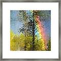 Rainbow In The Forest Framed Print