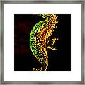 Rainbow Seahorse Framed Print