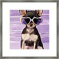 Rainbow Sunglasses Framed Print