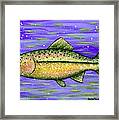 Rainbow Trout Framed Print