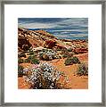 513p Rainbow Vista In The Valley Of Fire Framed Print