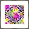 Rainbows Framed Print