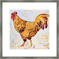 Rainy Day Rooster Framed Print