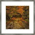 Rainy Fall Reflections Framed Print