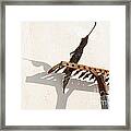 Rake With Leaf Framed Print