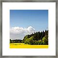 Rape Field And Forest Framed Print