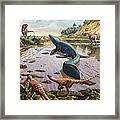 Raptors Attack A Vulnerable Mosasaurus Framed Print