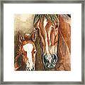 Lark And Robin Of Sand Wash Basin Framed Print