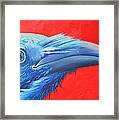 Raven Portrait Framed Print