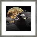 Raven Under The Harvest Moon Framed Print