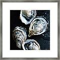 Raw Oysters Framed Print