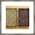 Raw Vs Roasted Coffee Beans In Trays Framed Print